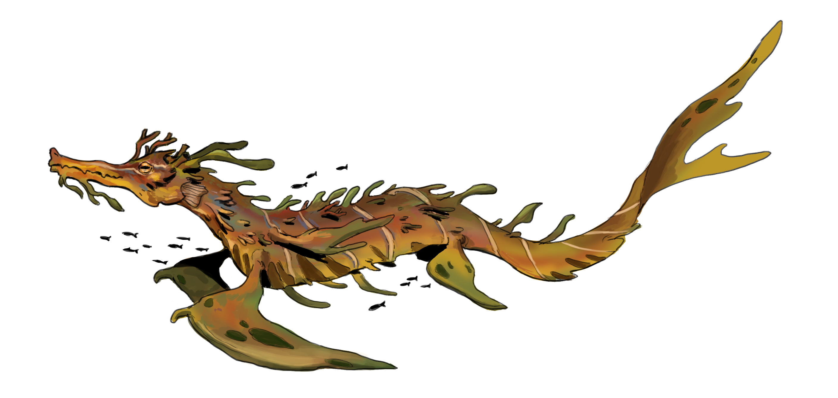 a coral dragon swimming among fish